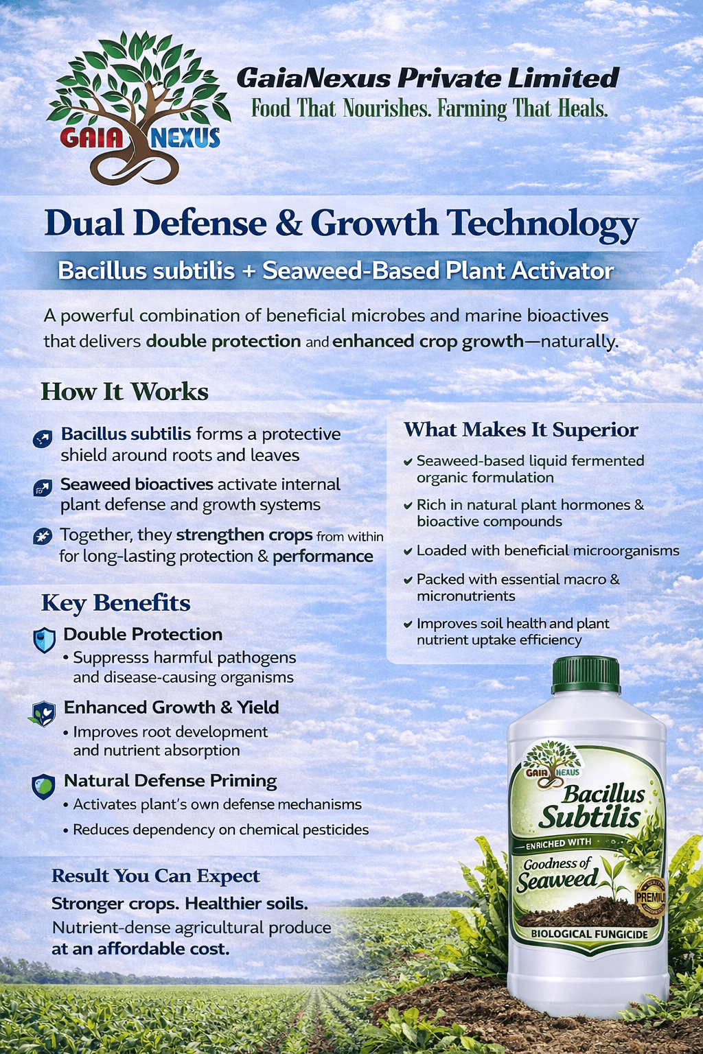 Bacillus Subtilis Biological Fungicide
